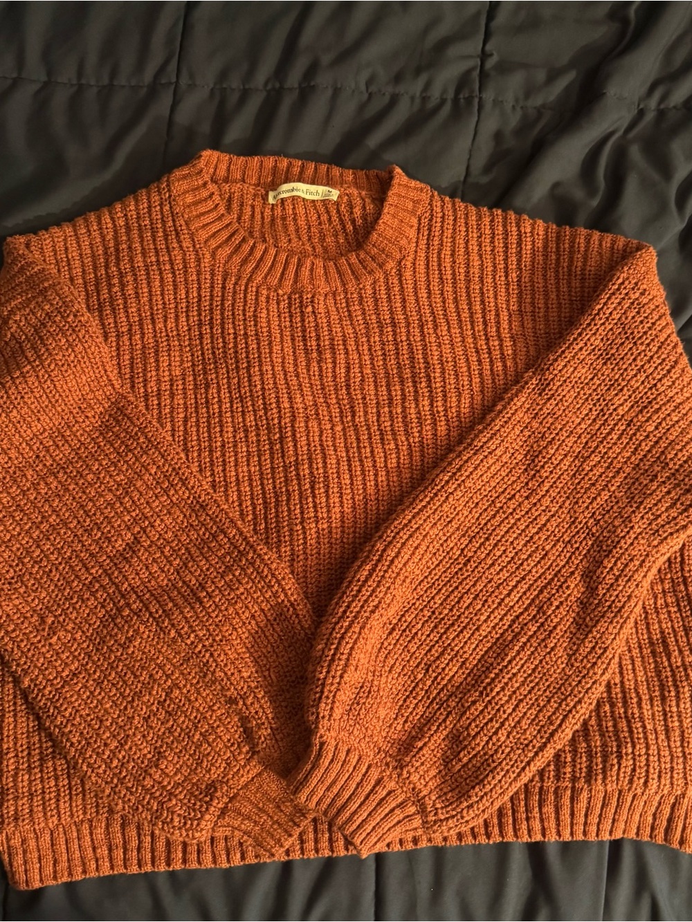 Abercrombie & Fitch 100% cotton textural crew sweater in color rust red - Picture 3 of 7